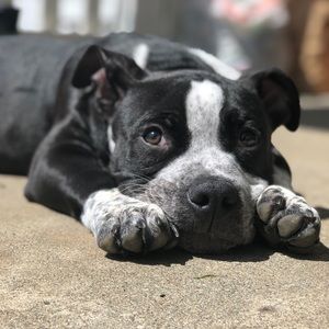 Meet your Posher, Gretchen